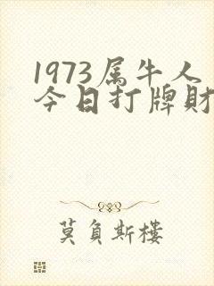1973属牛人今日打牌财运如何封面