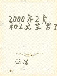 2000年2月初2出生男孩命运