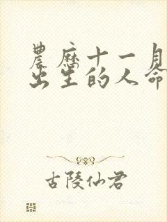 农历十一月十五出生的人命运