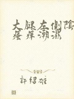 大腿左侧阴囊旁瘙痒潮湿