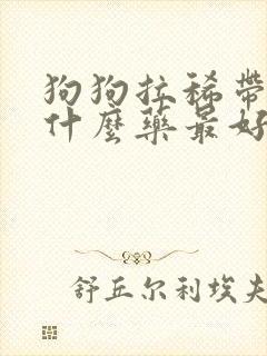 狗狗拉稀带血吃什么药最好封面