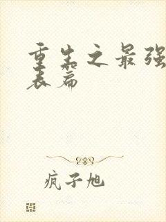 重生之最强剑神表篇封面