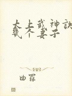 太上武神诀吴云几个妻子封面