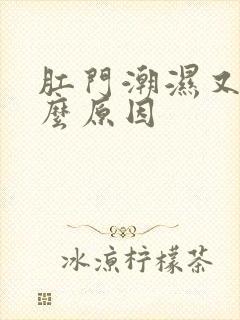 肛门潮湿又痒什么原因