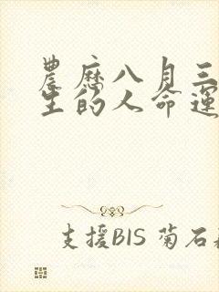 农历八月三十出生的人命运封面