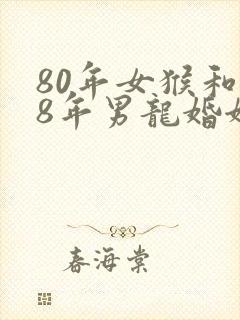 80年女猴和88年男龙婚姻和吗