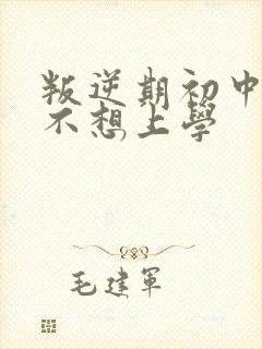 叛逆期初中男孩不想上学