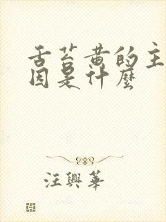 舌苔黄的主要原因是什么