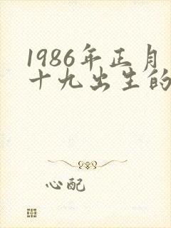 1986年正月十九出生的人命运