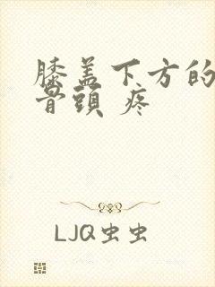 膝盖下方的凸起骨头 疼封面