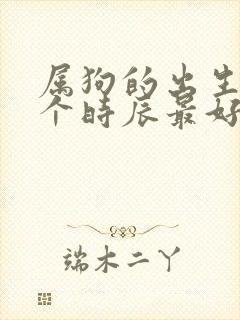 属狗的出生在哪个时辰最好