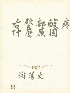 右臀部酸疼痛是什么原因封面