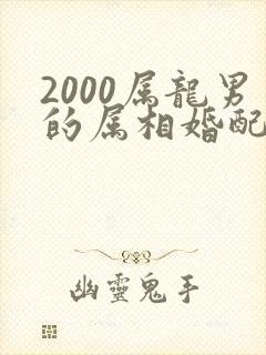 2000属龙男的属相婚配表封面