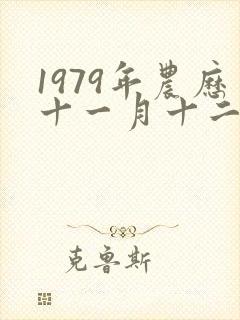 1979年农历十一月十二日出生是什么命封面