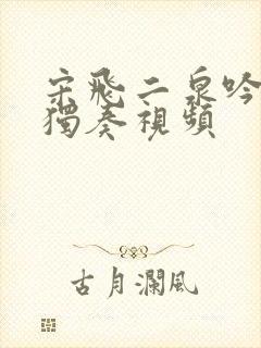 宋飞二泉吟二胡独奏视频