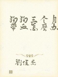 狗狗三个月拉稀带血怎么办