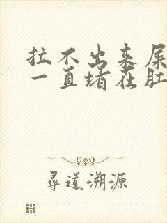 拉不出来屎感觉一直堵在肛门是什么原因