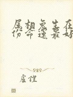 属相兔生在几月份命运最好