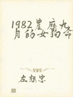 1982农历九月的女狗命运封面