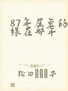 87年属兔的姻缘在哪年