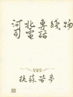 河北专线物流公司电话