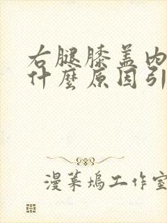 右腿膝盖内侧痛什么原因引起的