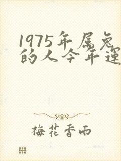 1975年属兔的人今年运势封面