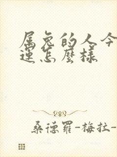 属兔的人今天财运怎么样