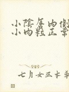 小阴唇内侧皮肤小肉粒正常吗封面