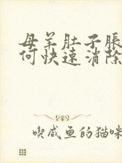 母羊肚子胀气如何快速消除