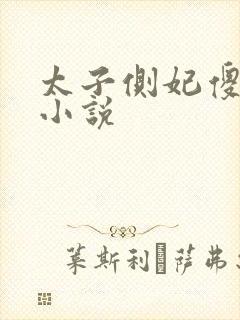 太子侧妃傻乎乎小说