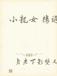小龙女 杨过封面