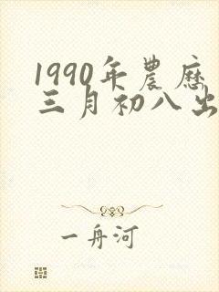 1990年农历三月初八出生的命运封面