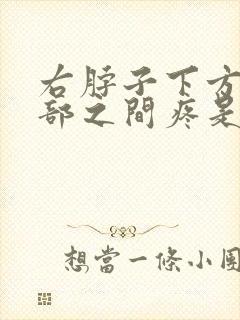 右脖子下方与肩部之间疼是咋回事封面