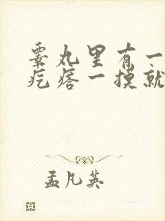 睾丸里有一个小疙瘩一摸就疼