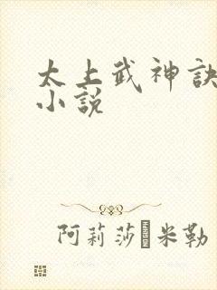 太上武神诀免费小说