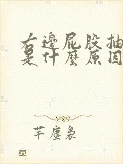 右边屁股抽筋疼是什么原因女性