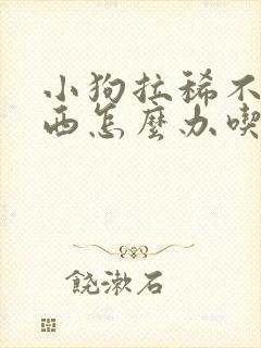 小狗拉稀不吃东西怎么办吃什么药