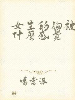 女生的胸被摸是什么感觉