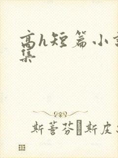 高h短篇小说合集封面