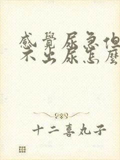 感觉尿急但是拉不出尿怎么办