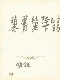 葫芦丝降b调独奏月光下的凤尾竹封面