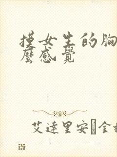 摸女生的胸是什么感觉