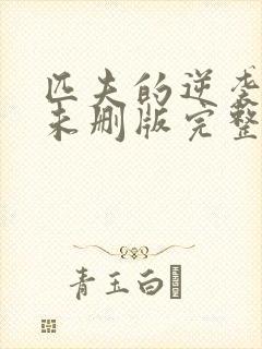 匹夫的逆袭小说未删版完整封面