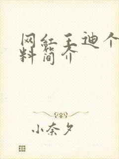 网红王迪个人资料简介