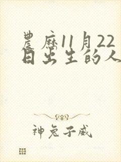 农历11月22日出生的人命运