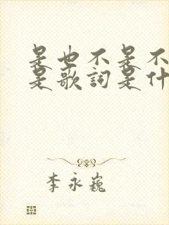 是也不是不是也是歌词是什么歌