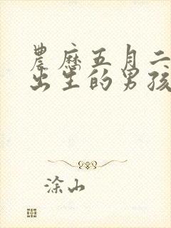 农历五月二十八出生的男孩命运好吗