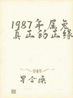 1987年属兔真正的正缘在二婚