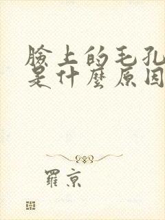 脸上的毛孔粗大是什么原因造成的封面